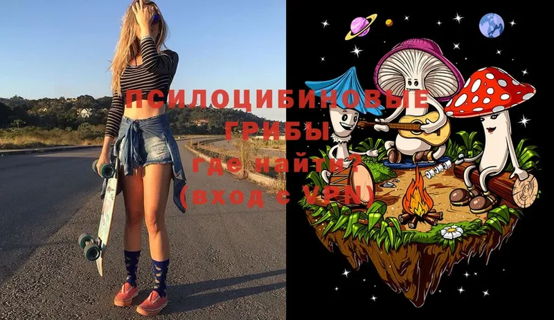 Псилоцибиновые грибы Psilocybe  ссылка на мегу сайт  Динская 